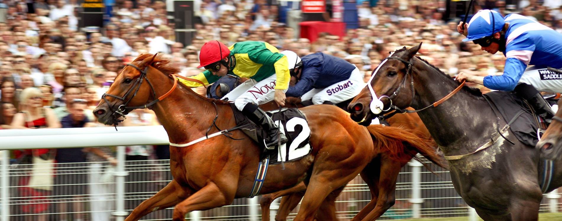 Sky Bet Ebor Festival 2025 York Racecourse - Four days of Group 1 racing and luxury hospitality experiences