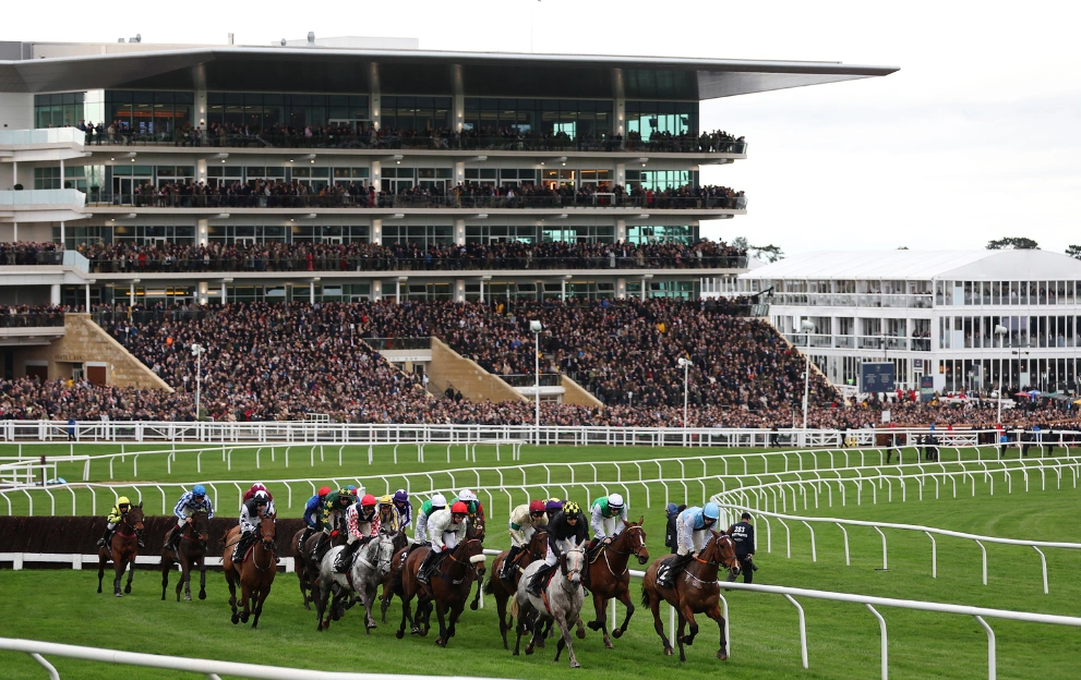 Cheltenham Festival 2026 - Horses racing past packed grandstands at the world's greatest jump racing festival