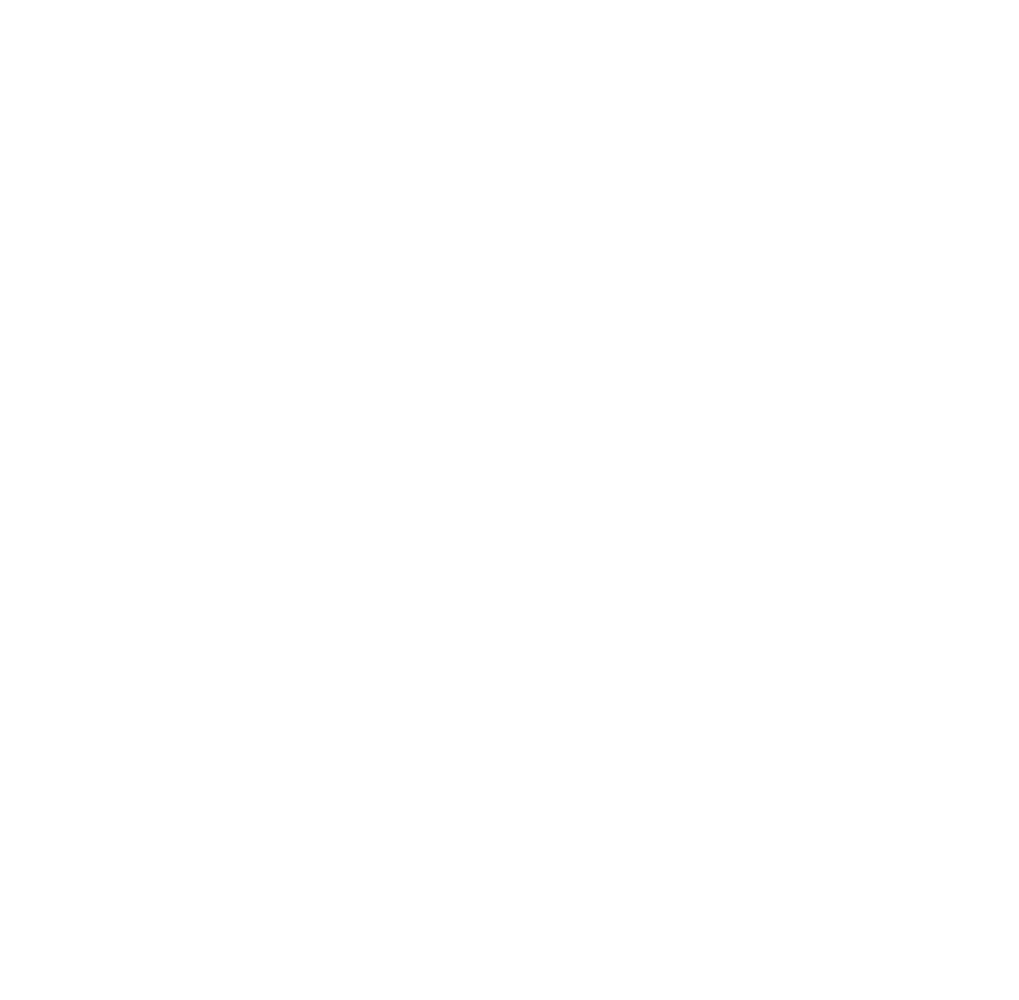 Shield Icon