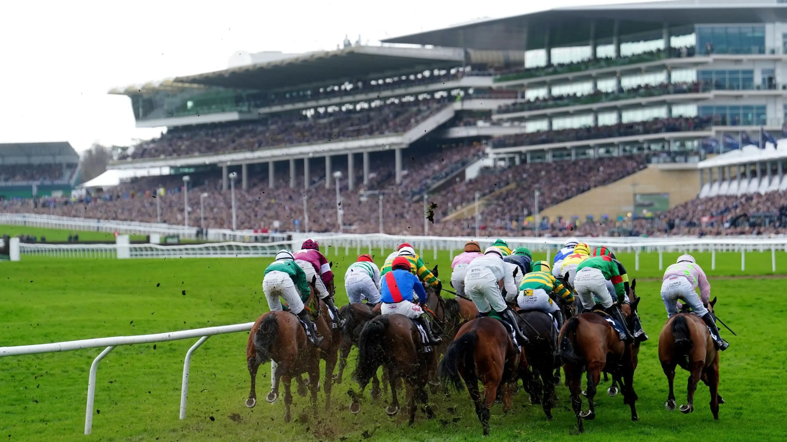 Horses approaching the final two fences during the Gold Cup