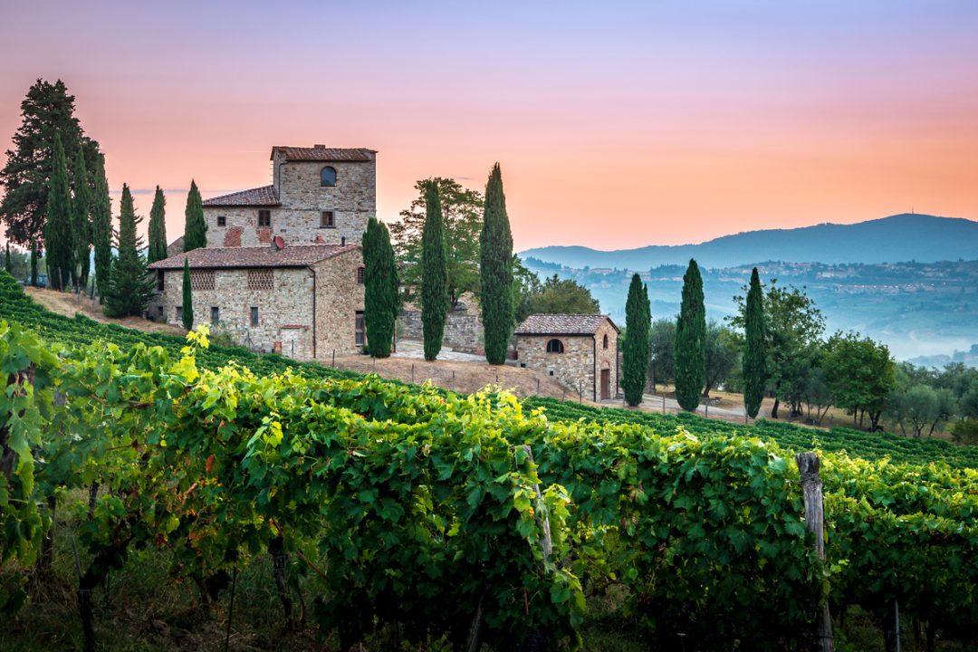 Rolling hills of Tuscany with vineyards and cypress trees under a golden sun.