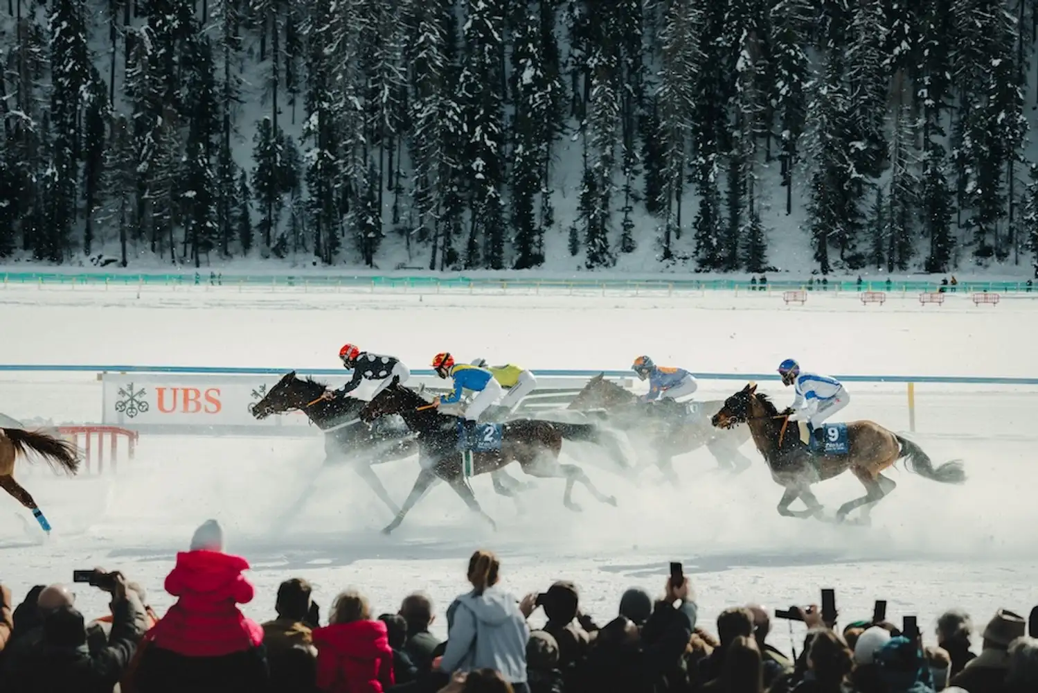 White Turf St Moritz on frozen lake